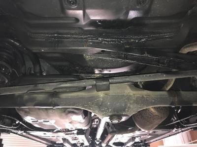 トヨタ パッソ 1.0 プラスハナ 2010年 写真4